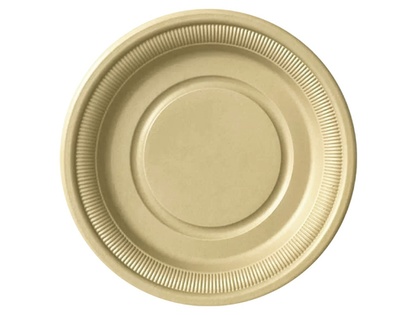 Eco-friendly Disposable Plate